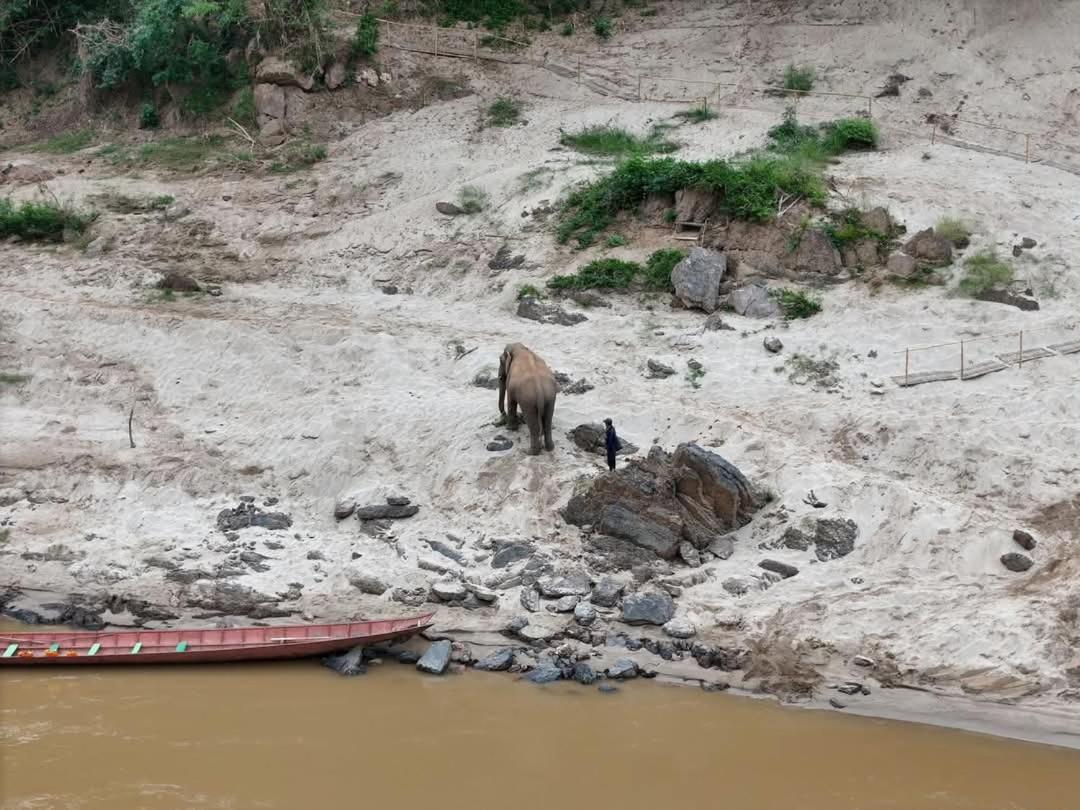 Mekong Backpackers Pakbeng 아파트 외부 사진