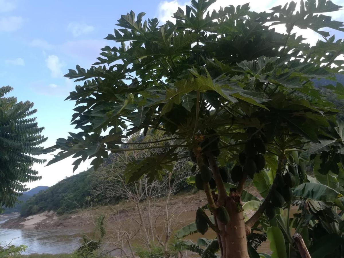 Mekong Backpackers Pakbeng 아파트 외부 사진